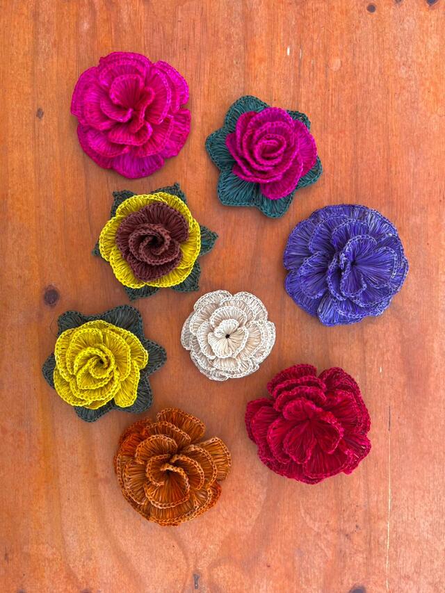 Flores de Buriti (unidade)